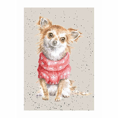 Chihuahua Card (Maisey) - Click Image to Close