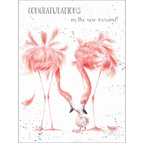 New Arrival Card (Flamingos) - Click Image to Close