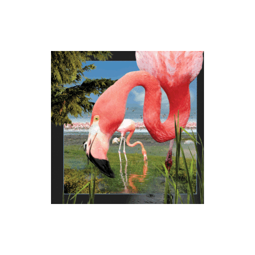 Flamingo Magnet - Click Image to Close