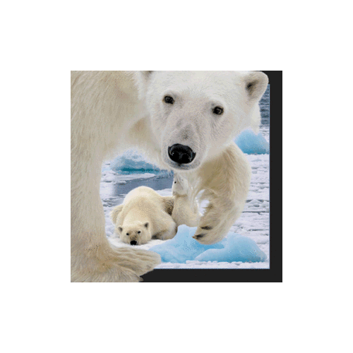 Polar Bear With Cub Magnet - Click Image to Close