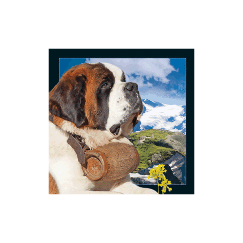 St. Bernard Magnet (Dog) - Click Image to Close