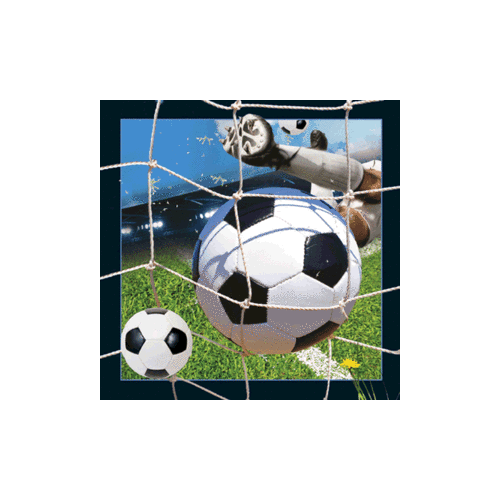 Soccer Magnet - Click Image to Close
