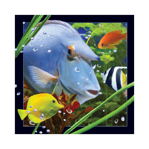 Blue Fish Card - Click Image to Close