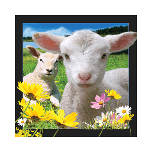Lamb Card - Click Image to Close