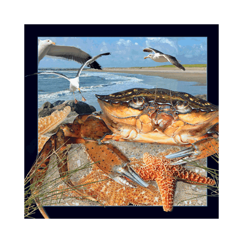 Crab Card - Click Image to Close