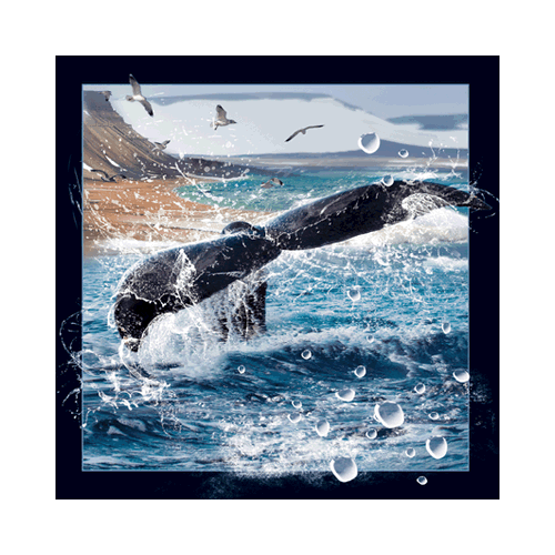Whale Tail Card - Click Image to Close
