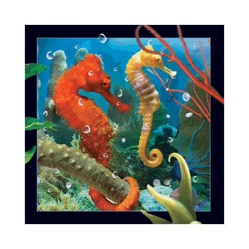 Seahorse Card - Click Image to Close