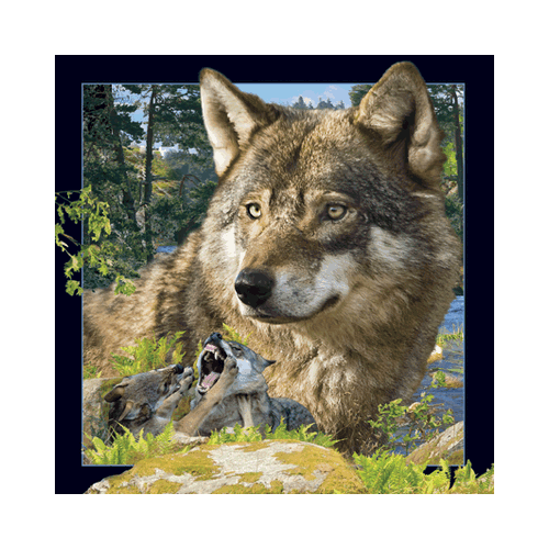 Wolf Card - Click Image to Close