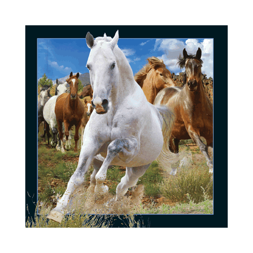 Horses Card - Click Image to Close