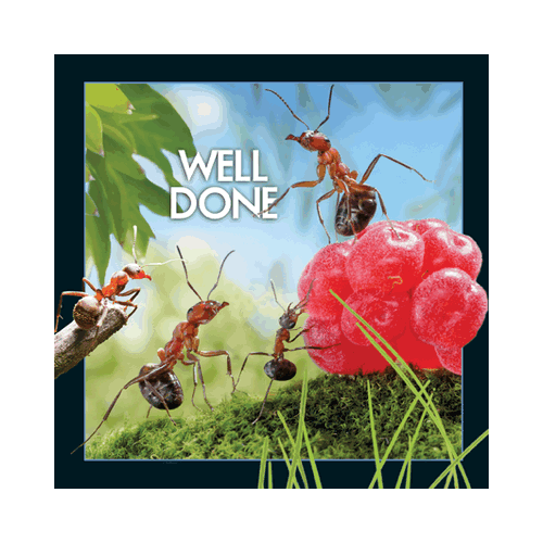 Well Done Card - Click Image to Close