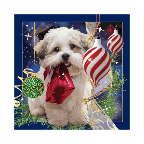 Christmas Dog Card - Click Image to Close