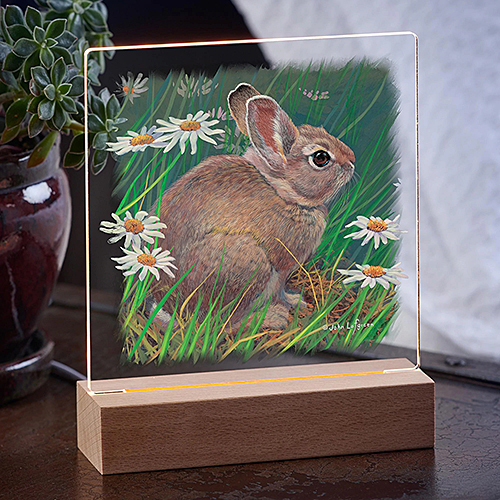 Cottontail & Daisies Acrylic Night Light - Click Image to Close