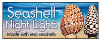 Seashell Night Lights