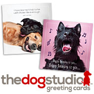 The Dog Studio Greeting Cards