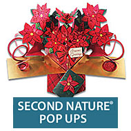 Second Nature Pop-Ups