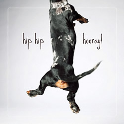 Hip Hip Hooray Card (Dachshund)