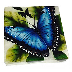 Blue Butterfly Box