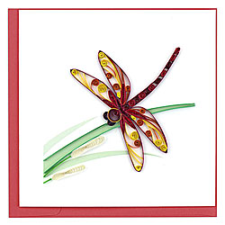 Dragonfly Card