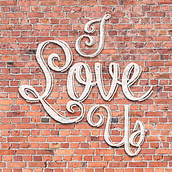 I Love Us (Bricks) Greeting Card