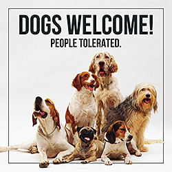 Dogs Welcome, People Tolerated Card