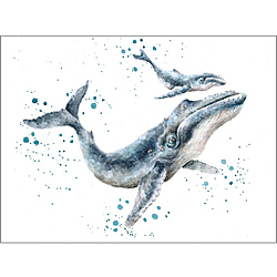 Marine Blue Card (Whales)